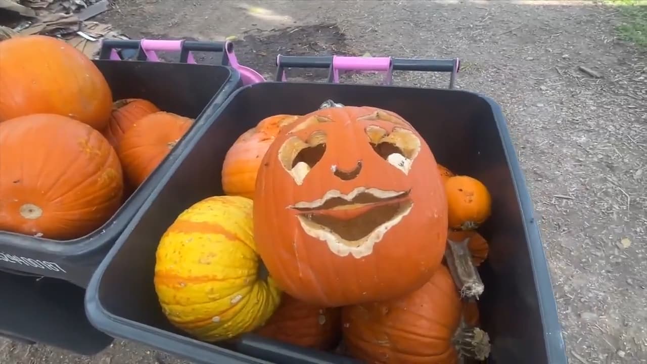 M-DCPS partnering with Fertile Earth for 2nd Annual Pumpkin Smash